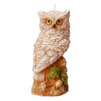 Read A&AY VENTURE LIMITED Reviews